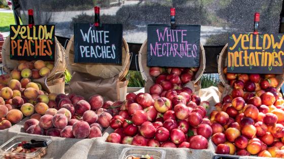 farmers market